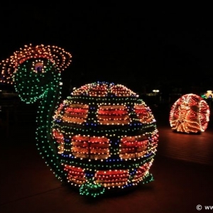 Main-Street-Electrical-Parade-24