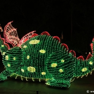 Main-Street-Electrical-Parade-87