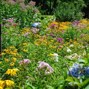 garden_1