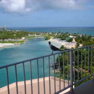 Atlantis_4_2008_010