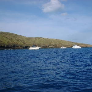MAUI_3_2009_089