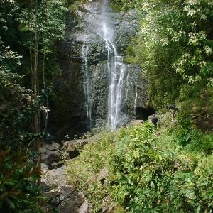 MAUI_3_2009_016