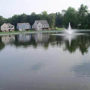 OUR_POND_003