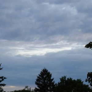 daybreak