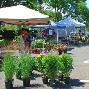 s_market_1