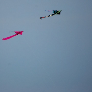 kite_in_flght