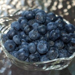 berries