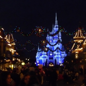 WDW_Castle_Night_Xmas