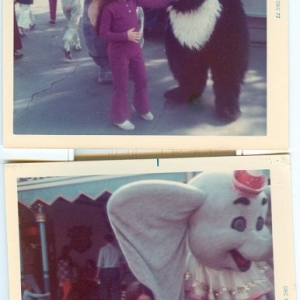 70's Dumbo, Flower, Thumper