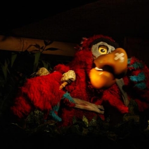 Iago in the Tiki room