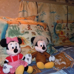 My new Fort Decor