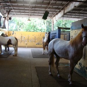DSC06185