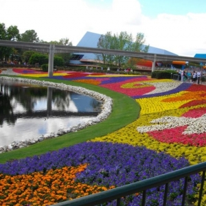 Epcot Flower & Garden Show