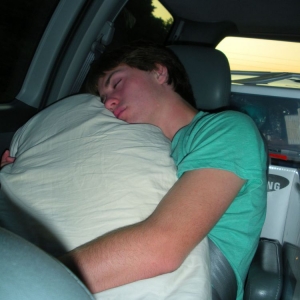 Napping_Passenger_in_car