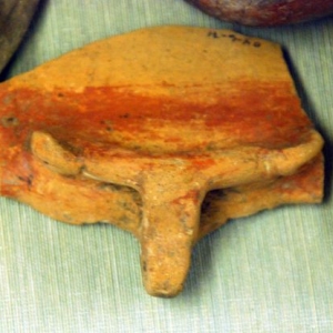 Longhorn