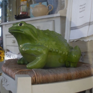 Toad