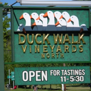 Winery