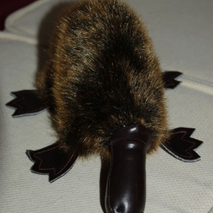 platypus