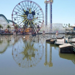 Skyline looking over Paradise Pier lagoon