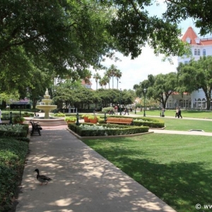 Grand_Floridian_18