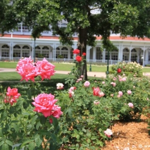 Grand_Floridian_38