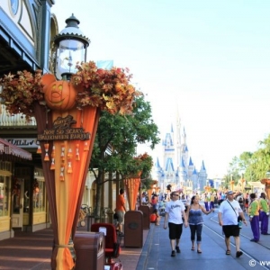 MNSSHP_14