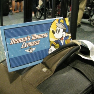 9-10_WDW_07