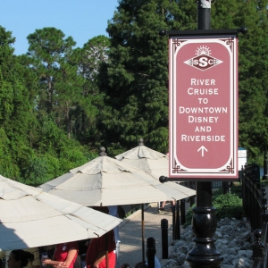 9-10_WDW_14