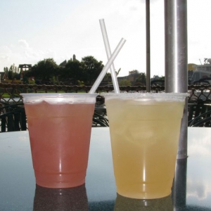 9-10_WDW_18