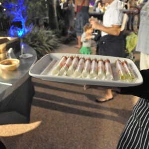 swan_dolphin_foodandwine20100079