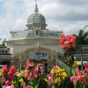 9-10_WDW_51