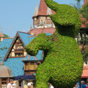 9-10_WDW_68