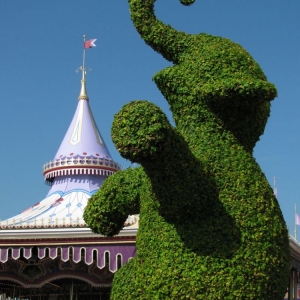 9-10_WDW_70