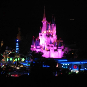 9-10_WDW_111