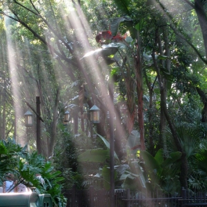 9-10_WDW_137