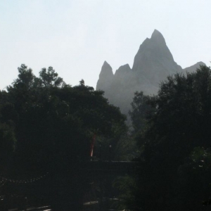 9-10_WDW_144