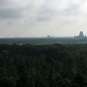 9-10_WDW_156
