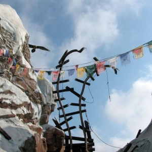 9-10_WDW_171