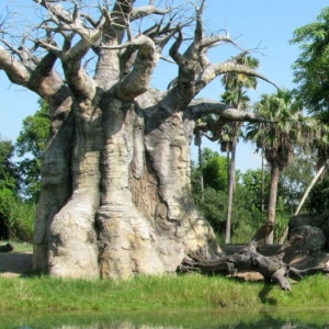 9-10_WDW_1911