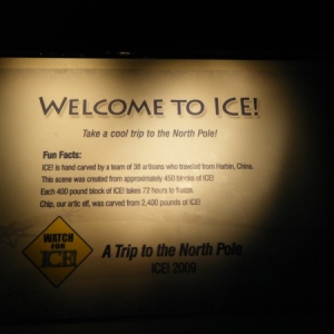 Day7_5