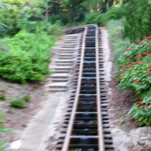 9-10_WDW_199