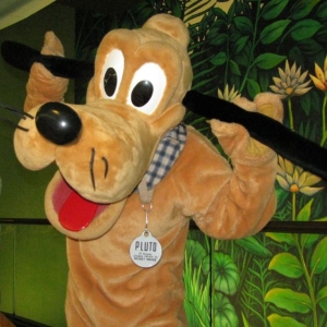 9-10_WDW_232