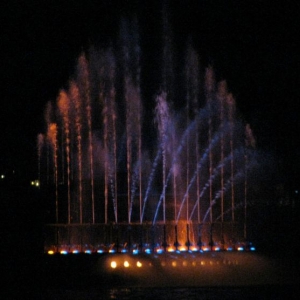 9-10_WDW_241
