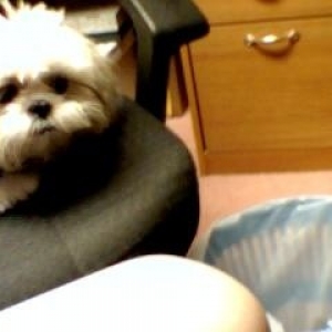 Isabell