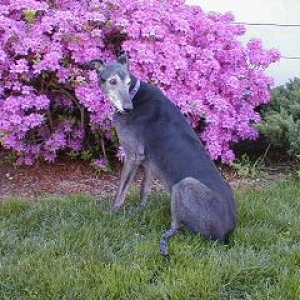 Rocky.......12 May 2005