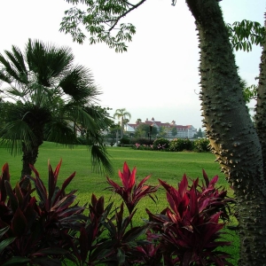 Polynesian Gardens