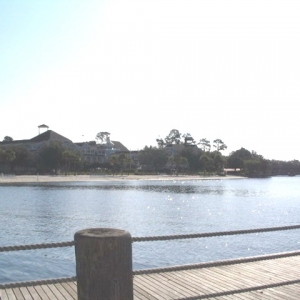 Disney_Beach_Club
