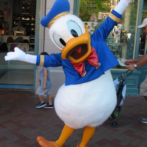 Strike_a_Pose_Donald
