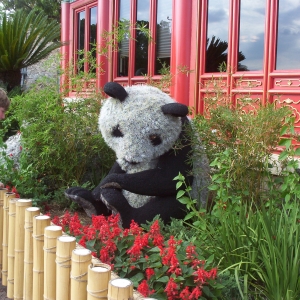 F&G  Panda