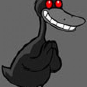 duck